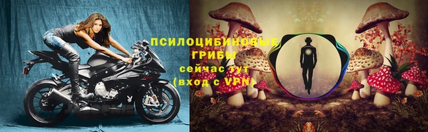 мдпв Беломорск